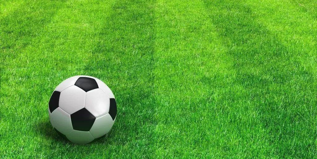 球迷关注任选九场比赛动态