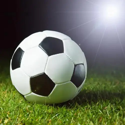 足彩爱好者使用任选九场比分结果工具